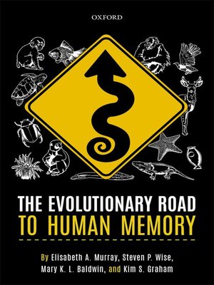 cover image of The Evolutionary Road to Human Memory